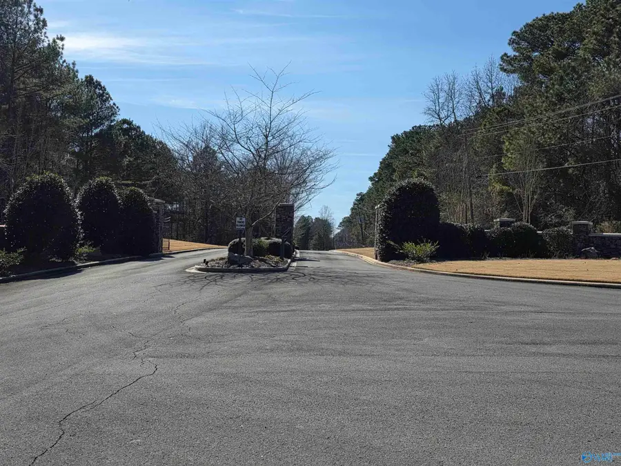 LOT 146 County Road 177, Cullman, AL 35504 - #3