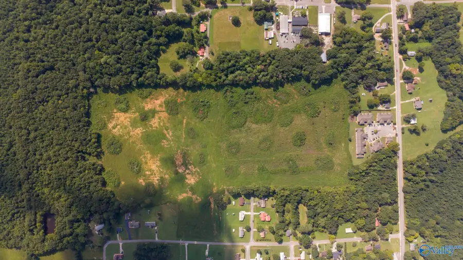 50 acres Moulton Danville Road, Moulton, AL 35650 - #3