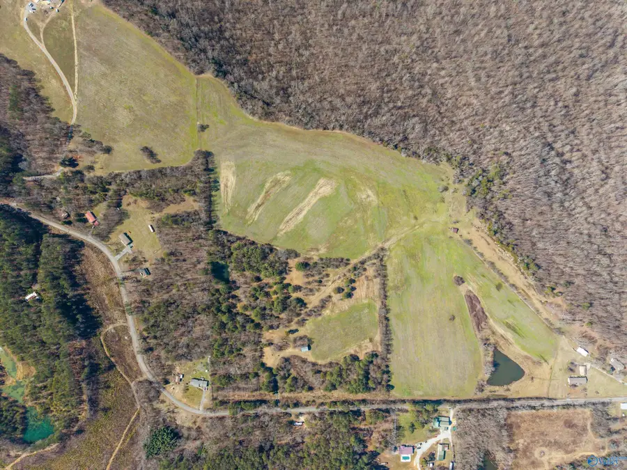 Tract 1 4610 County Road 81, Flat Rock, AL 35966 - #3