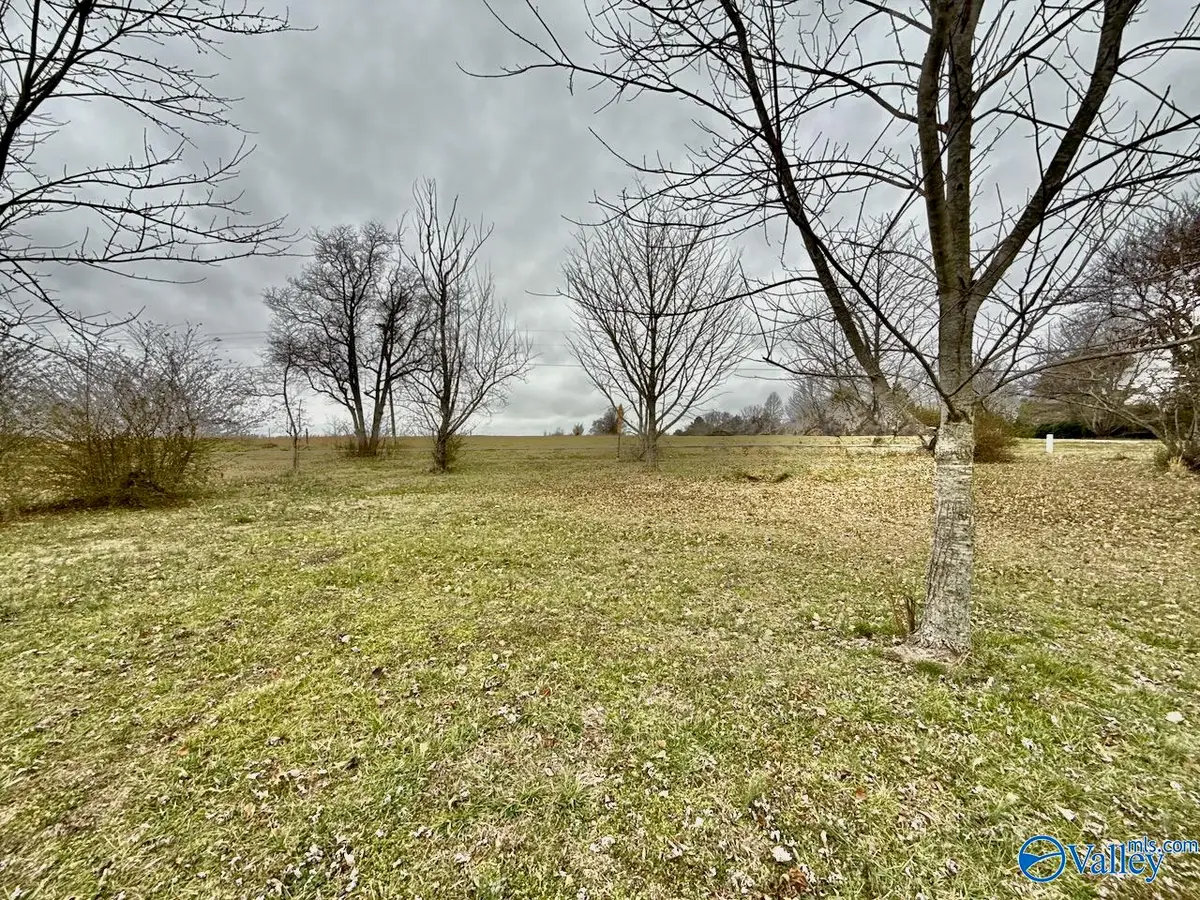 Lot 9 East Limestone Road, Toney, AL 35773 - #1