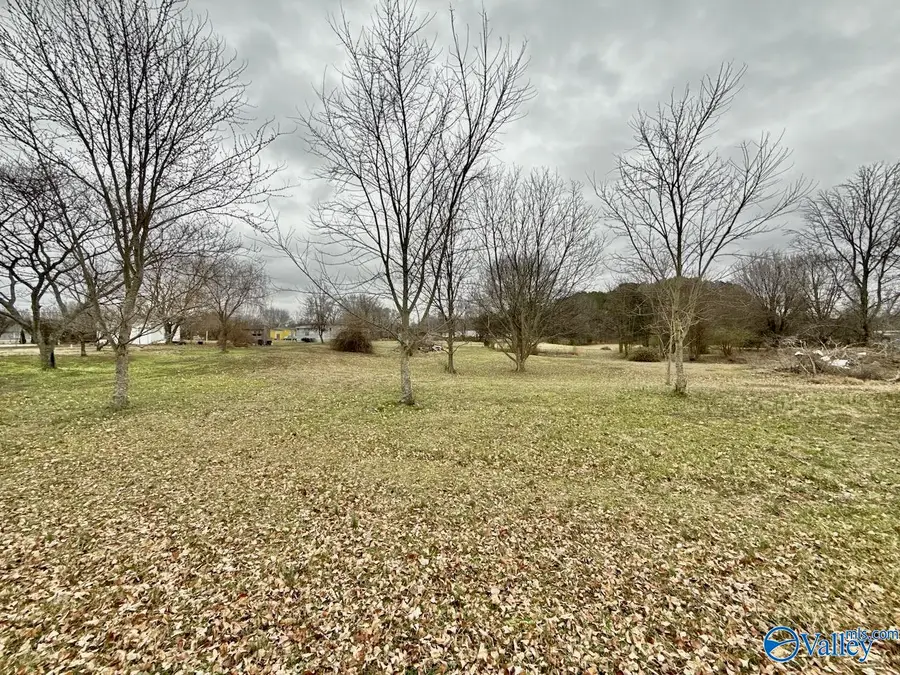 Lot 9 East Limestone Road, Toney, AL 35773 - #2