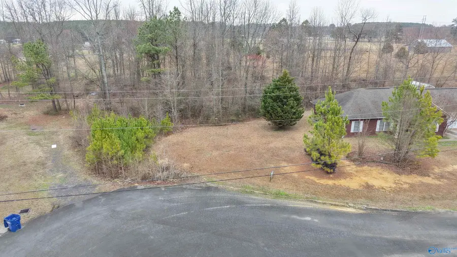240 Shaw Street, Albertville, AL 35950 - #2