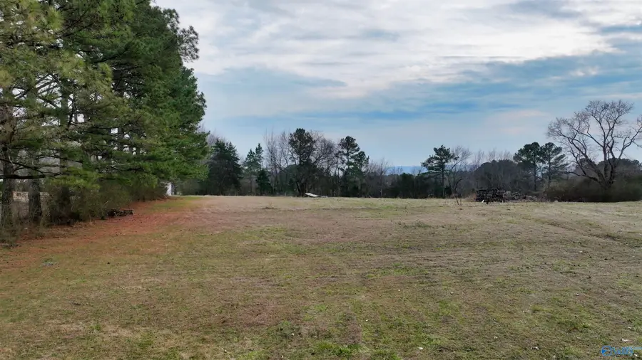 166 Steakley Road, New Market, AL 35761 - #2
