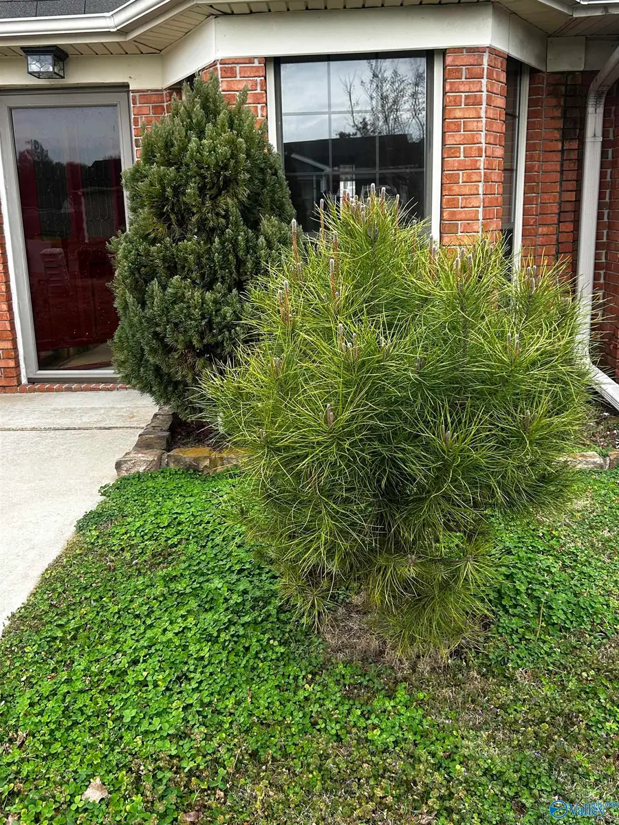 338 SW Denver Place, Decatur, AL 35603 - #2