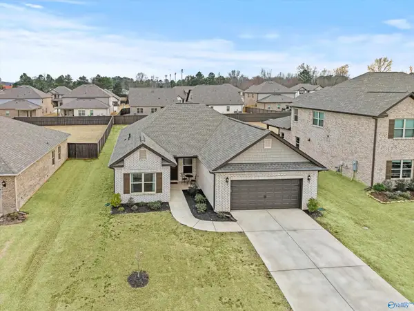 228 Paladin Street, New Market, AL 35761