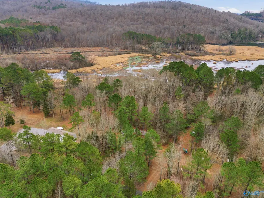 296 Stewart Hollow Road, Grant, AL 35747 - #2