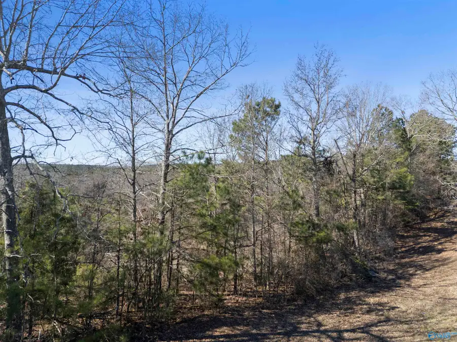 24 Acres Blanton Road, Gadsden, AL 35904 - #3