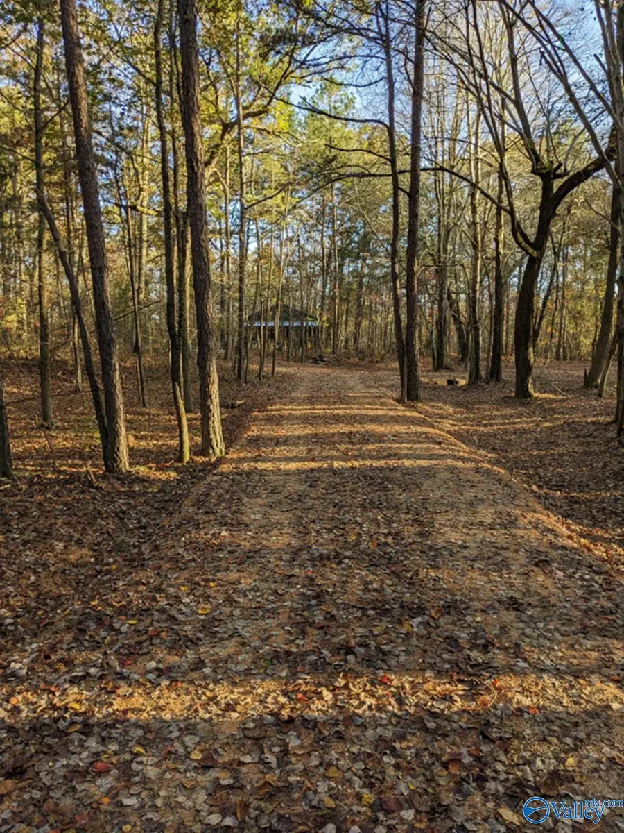 5433 County Road 106, Mentone, AL 35984 - #2