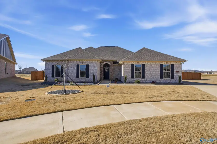 223 Nellie Faye Lane, Meridianville, AL 35759 - #3