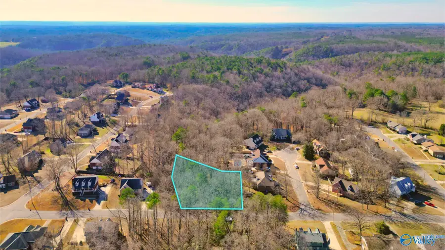 724 14th Avenue, Pleasant Grove, AL 35127 - #2