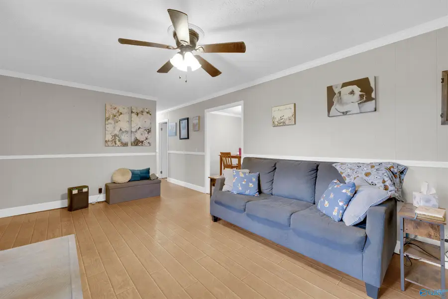 1304 Hammonds Road, Fyffe, AL 35971 - #3