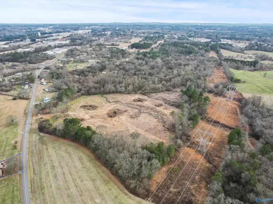 17.2 Goodwin Road, Albertville, AL 35951 - #3