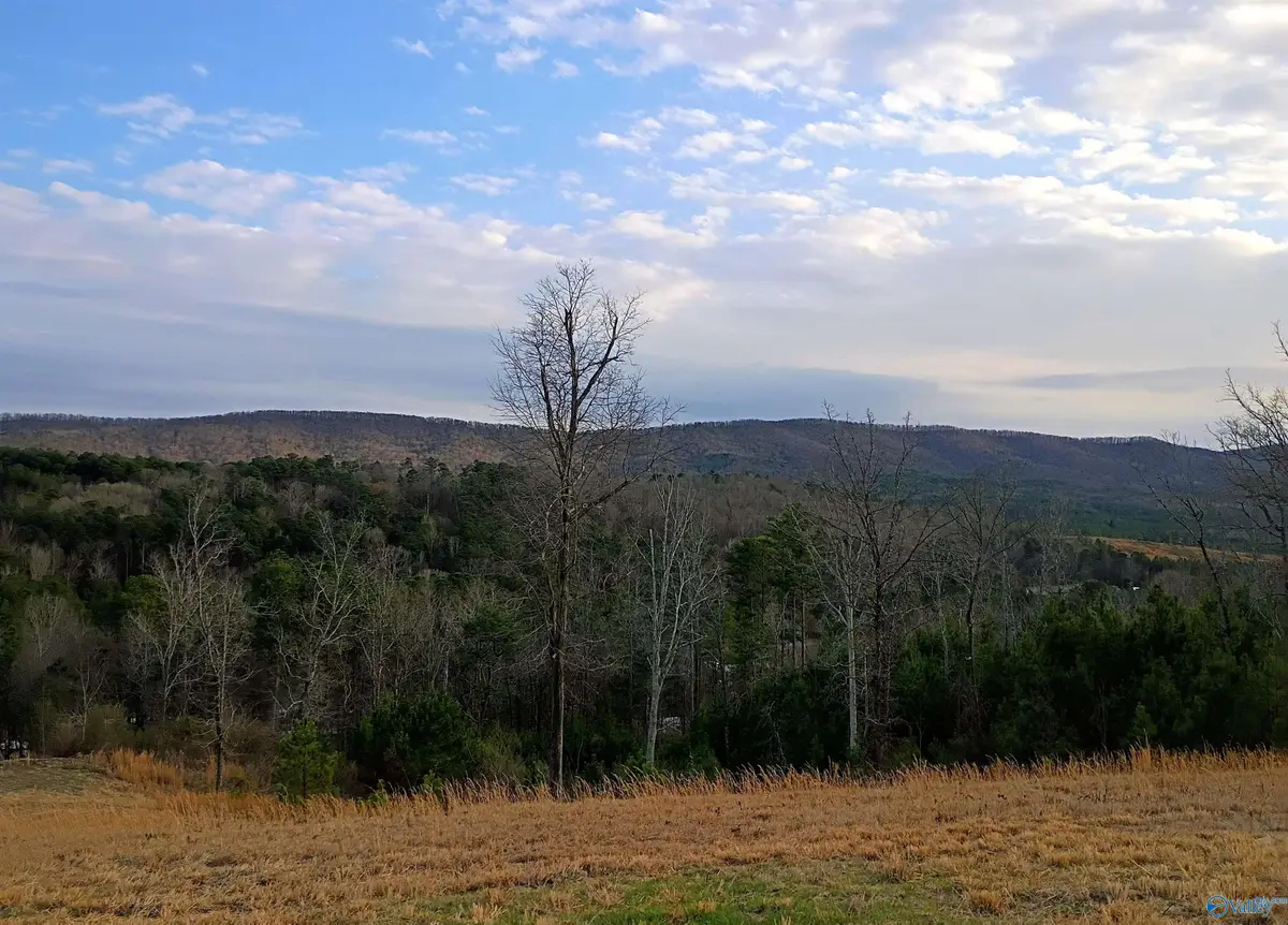 27 Magnolia Drive, Piedmont, AL 36272 - #1