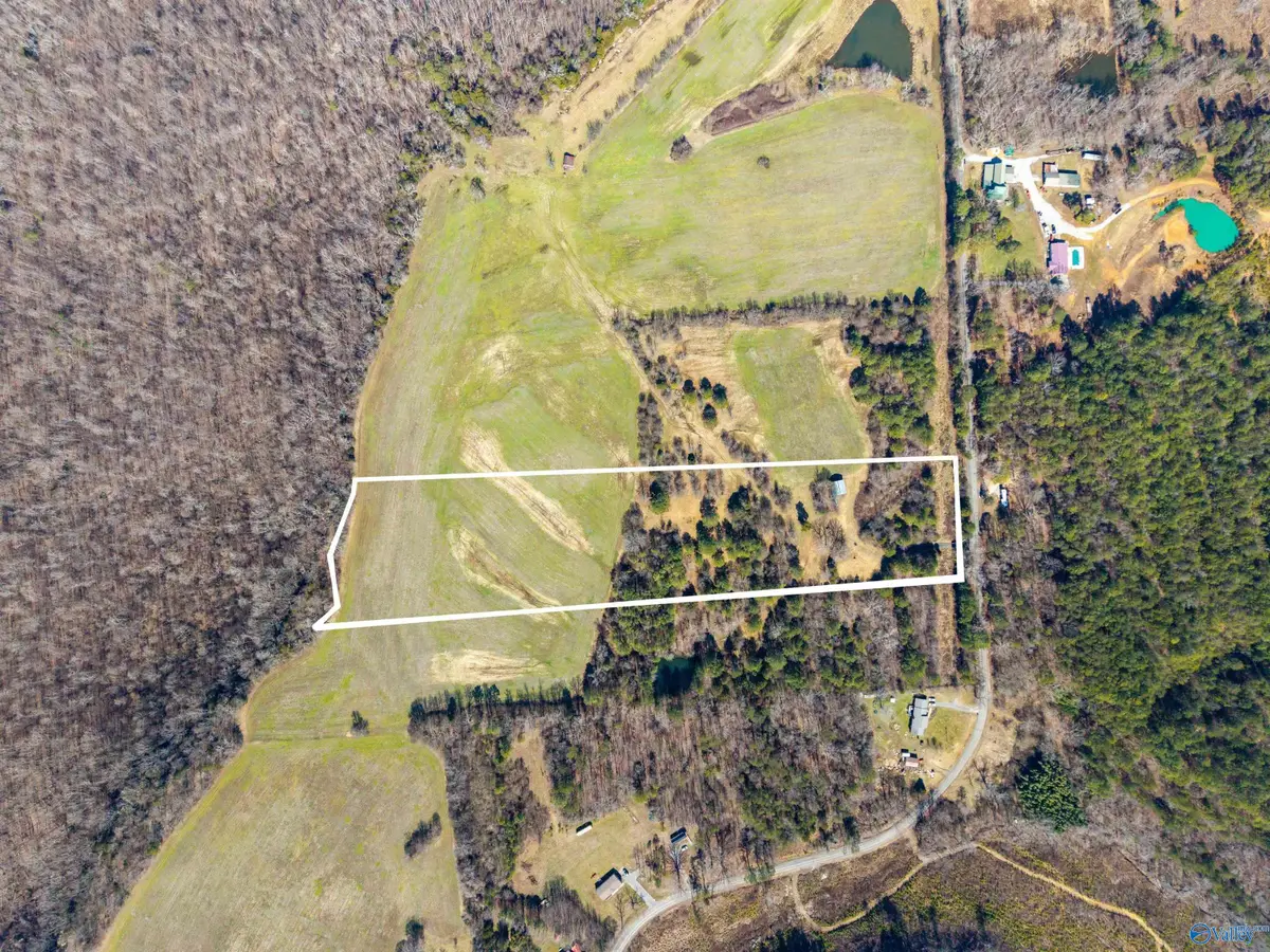 Tract 2 4610 County Road 81, Flat Rock, AL 35966 - #1