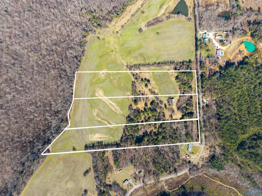 Tract 2 4610 County Road 81, Flat Rock, AL 35966 - #3
