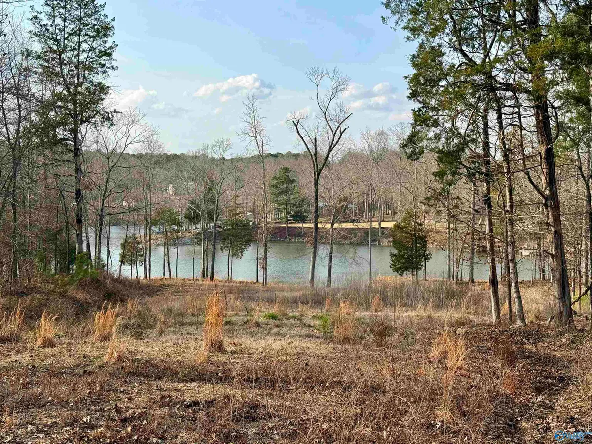 1.48 Acres River Cliff Drive, Gadsden, AL 35901 - #1