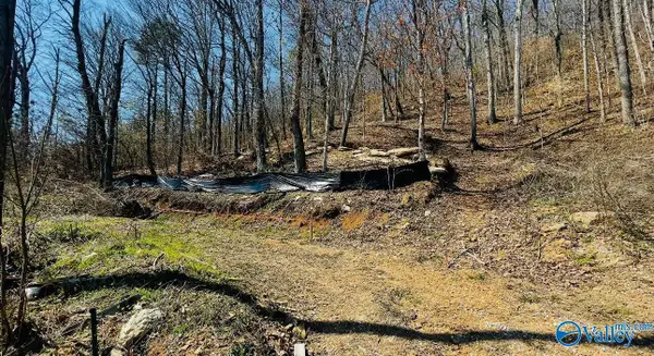 5928 Lister Ferry Road, Rainbow City, AL 35906