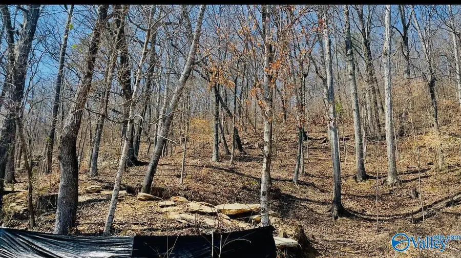 5928 Lister Ferry Road, Rainbow City, AL 35906 - #3