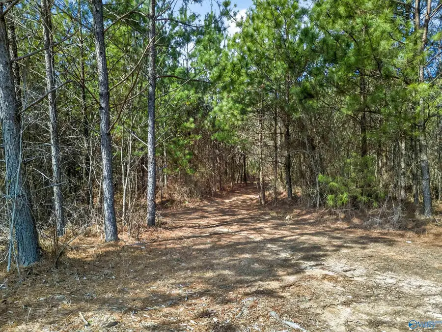 57 acres Persall Drive, Gadsden, AL 35901 - #3