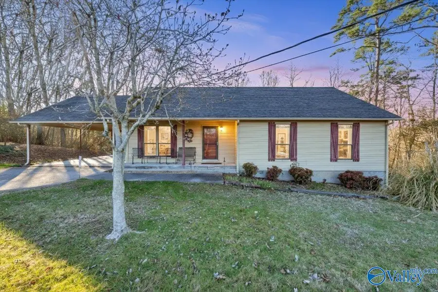 1315 Jacobs Avenue, Bridgeport, AL 35740 - #2