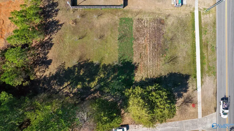 4826 Main Drive, New Hope, AL 35760 - #3