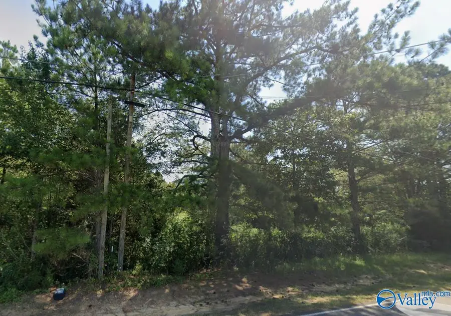 5 ACRES Tabor Road, Gadsden, AL 35904 - #3