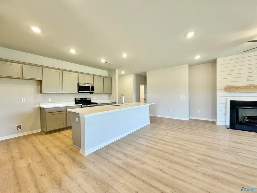 301 Allene Way, Meridianville, AL 35759 - #3