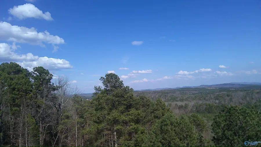 5055 County Road 48, Cedar Bluff, AL 35959 - #2