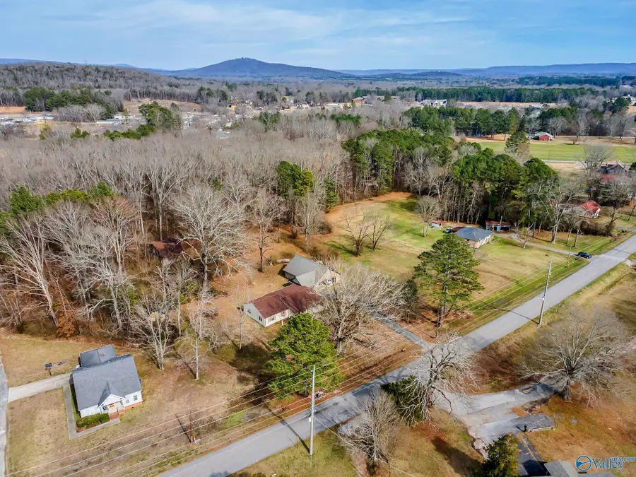 4273 Old Highway 431, New Hope, AL 35760 - #3