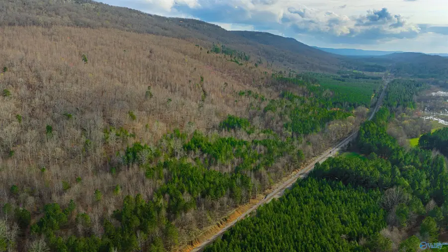 17 NE Acres, Valley Head, AL 35989 - #2