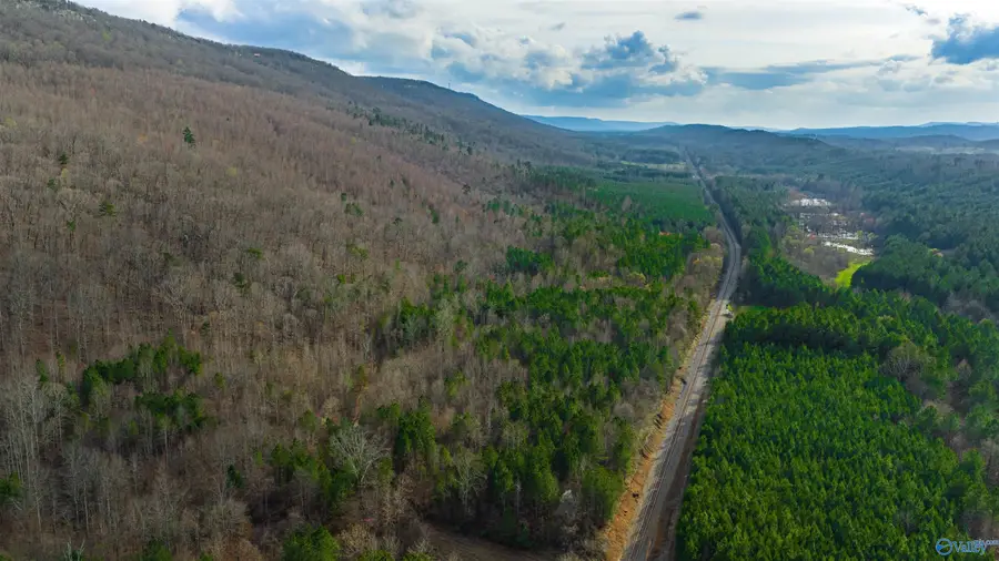 17 NE Acres, Valley Head, AL 35989 - #3