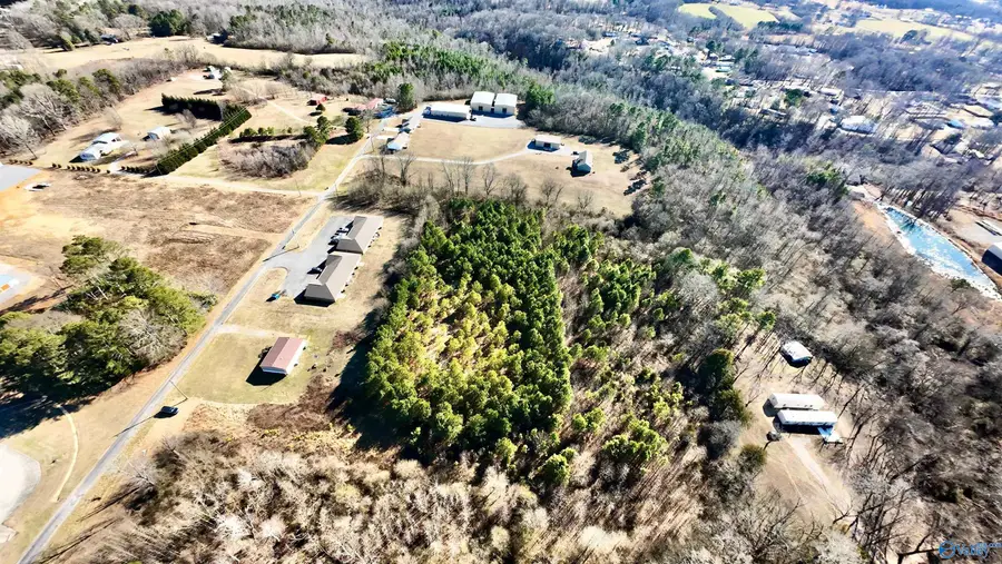 6.3 Acres Williams Road, Guntersville, AL 35976 - #3