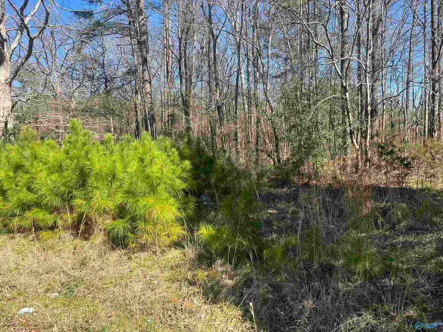 Tract C Union Road, Somerville, AL 35670 - #3