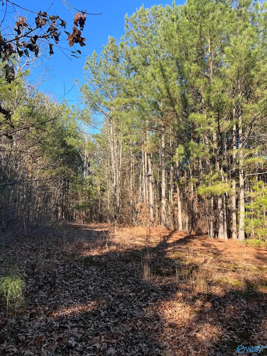 Address Withheld By Seller, Langston, AL 35755 - #3