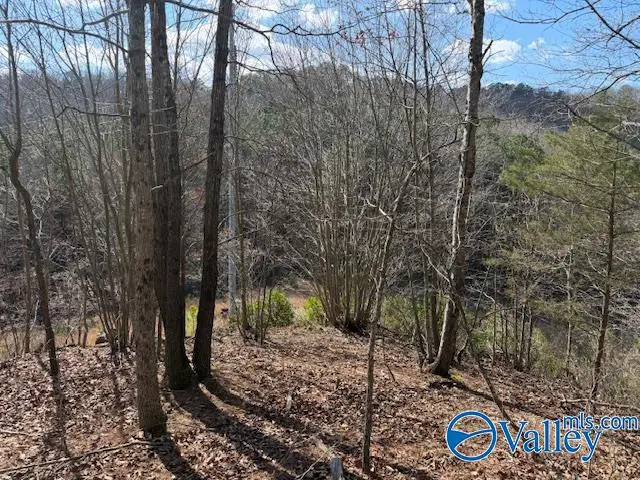 #80 Snow Point Road, Guntersville, AL 35976 - #1