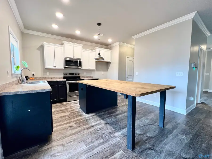 15692 Cold Branch Circle, Harvest, AL 35749 - #3