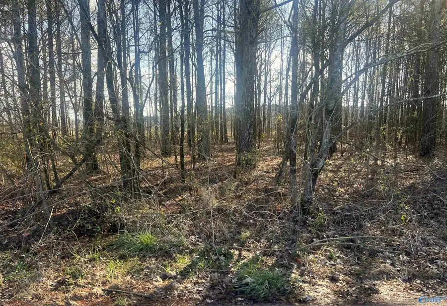 Tract 4 County Road 450, Centre, AL 35960 - #2