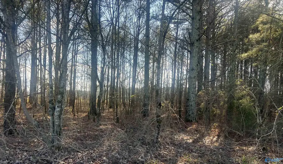 Tract 4 County Road 450, Centre, AL 35960 - #3