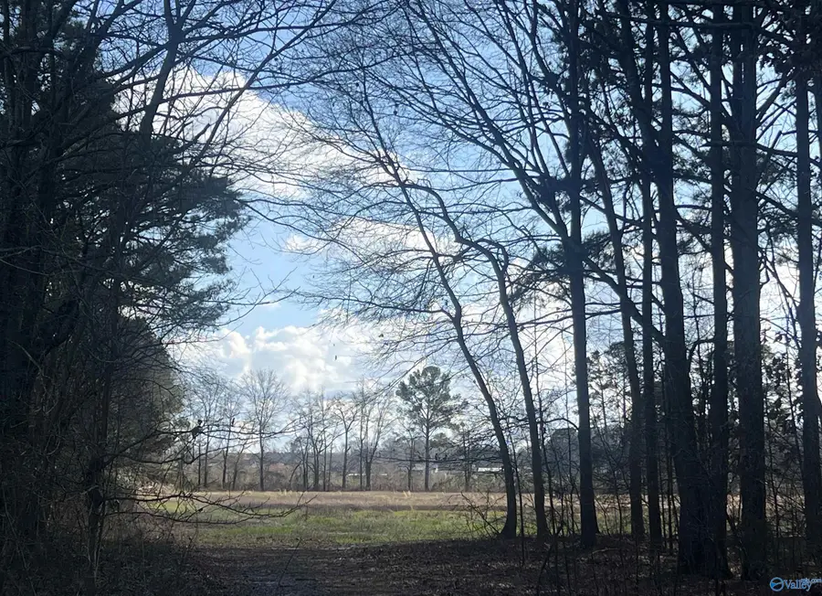 Tract 5 County Road 450, Centre, AL 35960 - #2