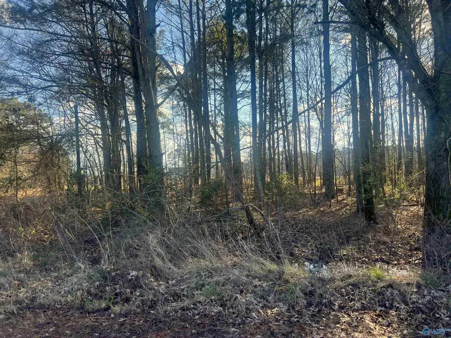 Tract 5 County Road 450, Centre, AL 35960 - #3