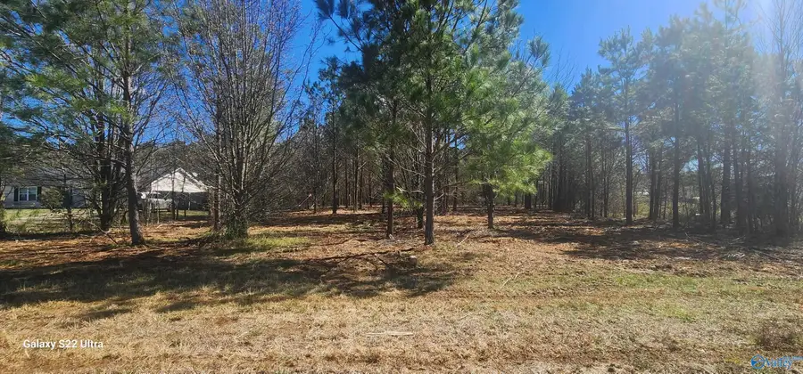 125 Acuff Road, Gurley, AL 35748 - #3