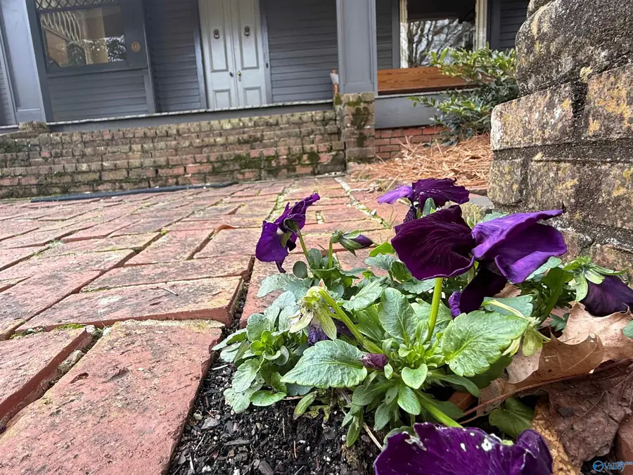 643 Sherman Street, Decatur, AL 35601 - #3