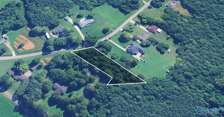 590 Carters Gin Road, Toney, AL 35773 - #2