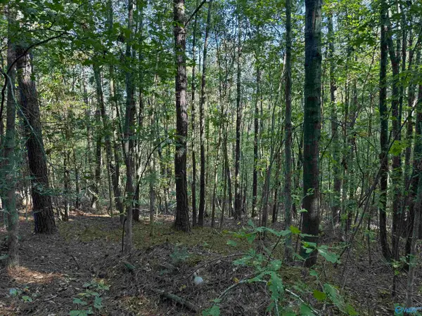 1028 Goddard Road, Bear Creek, AL 35543