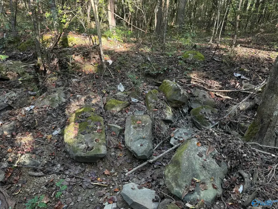 1028 Goddard Road, Bear Creek, AL 35543 - #3