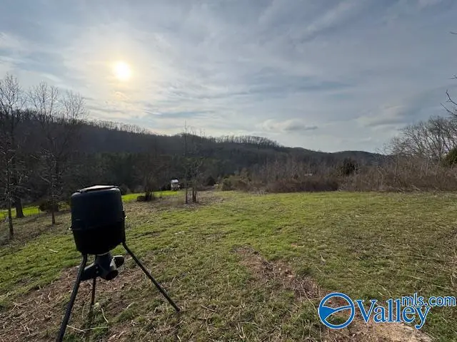 Address Withheld By Seller, Elkmont, AL 35620 - #2