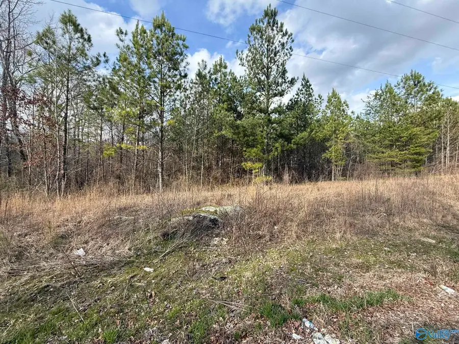 4 acres County Road 346, Pisgah, AL 35765 - #2