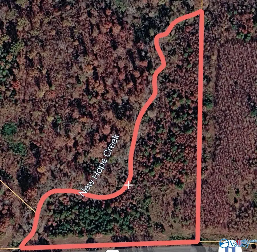 4 acres County Road 346, Pisgah, AL 35765 - #3