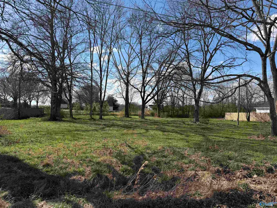 .50 acres Sparkman Avenue, Moulton, AL 35650 - #2