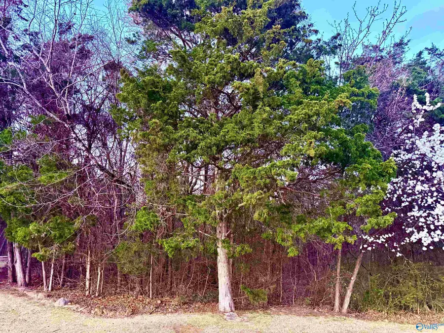 902 Whispering Pines Trail, Decatur, AL 35603 - #3